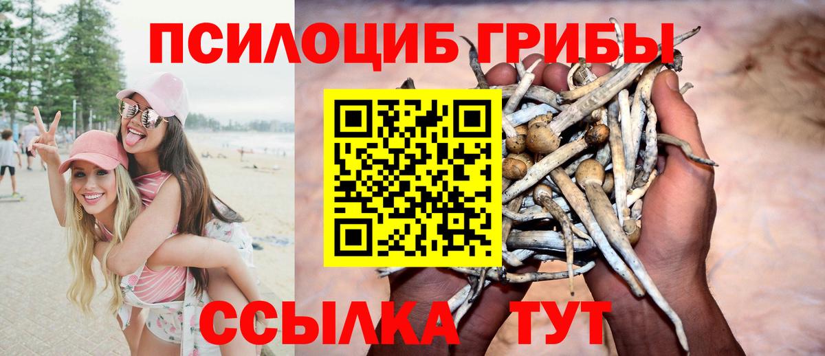 даркнет сайт  Псилоцибиновые грибы GOLDEN TEACHER  Вход с VPN  Ковров 